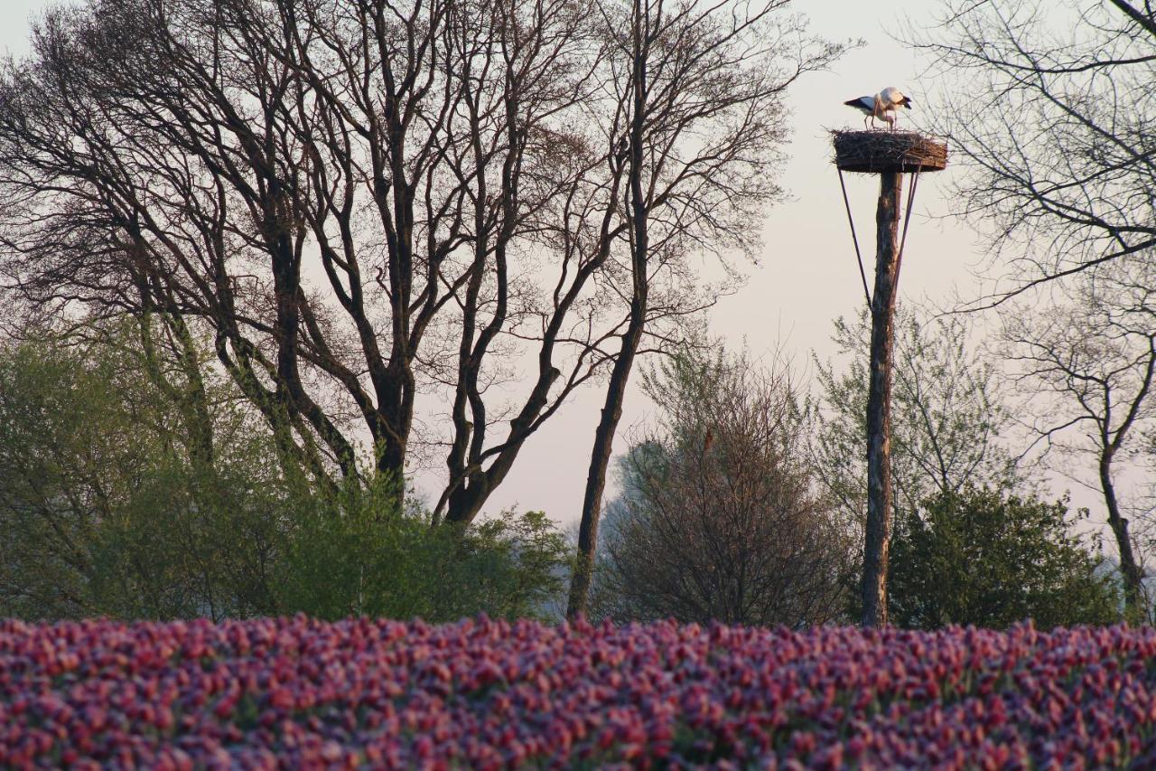 Brinkesdiek Hardenberg Exterior foto