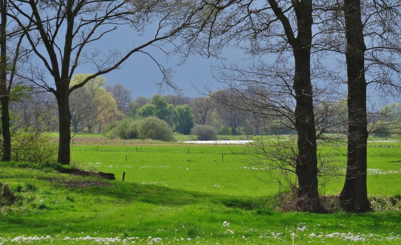 Brinkesdiek Hardenberg Exterior foto