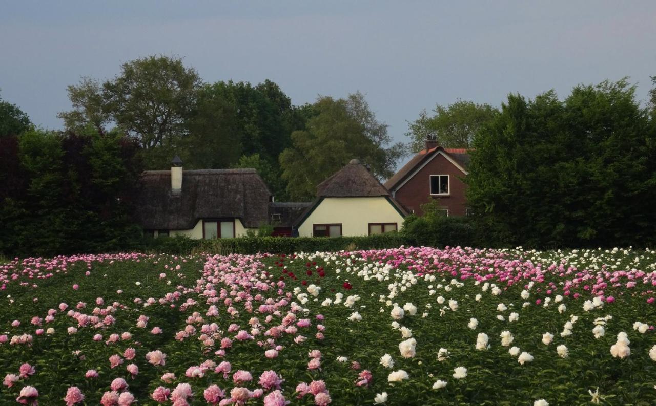 Brinkesdiek Hardenberg Exterior foto