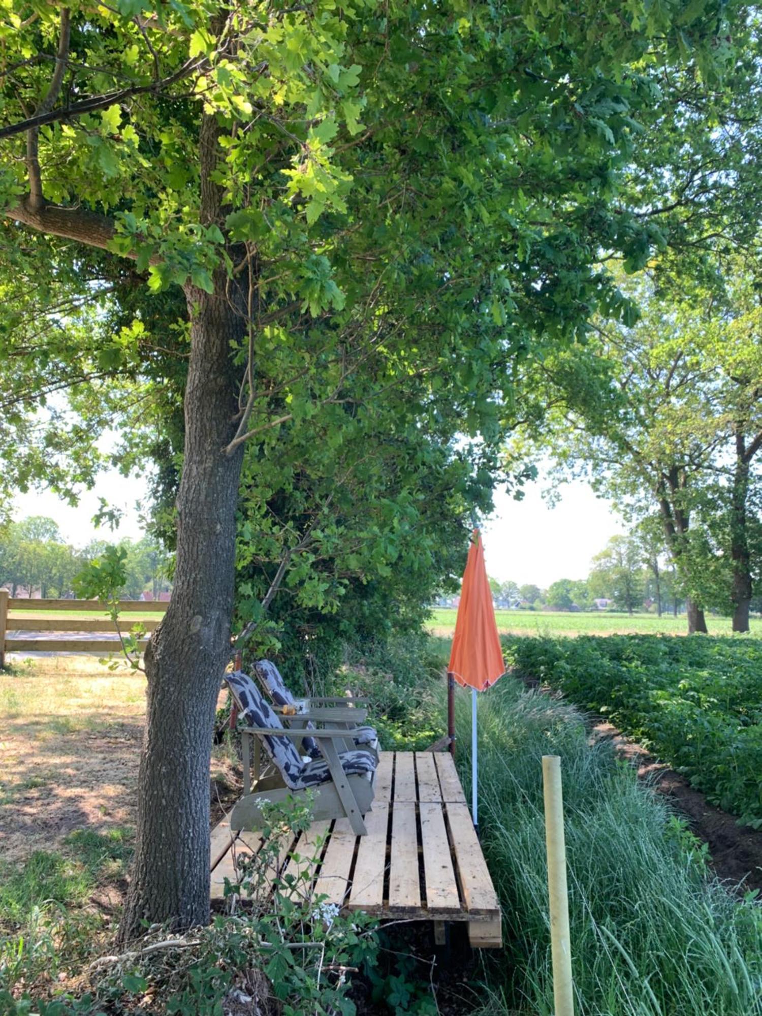 Brinkesdiek Hardenberg Exterior foto