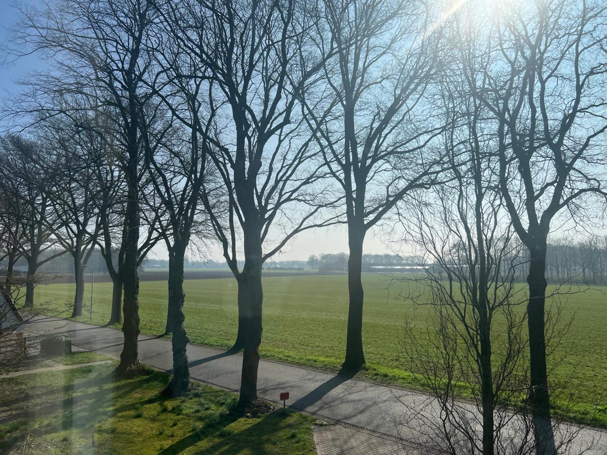 Brinkesdiek Hardenberg Exterior foto